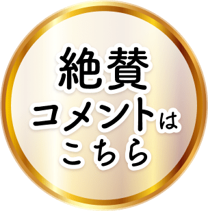 コメント